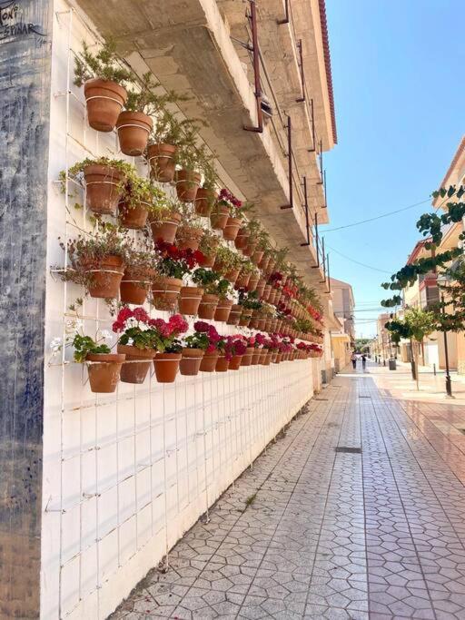 Casa Naranja Villa Los Alcázares Екстериор снимка